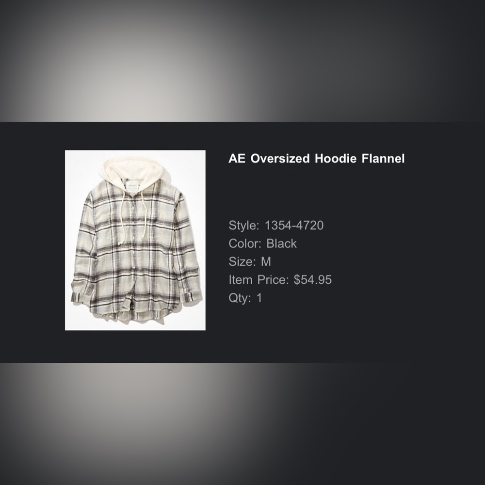 AE Oversized Hoodie Flannel